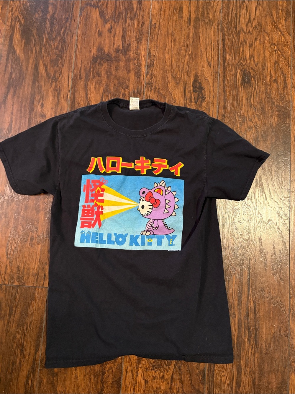 Hello Kitty  Black Graphic Tee with Pink Character